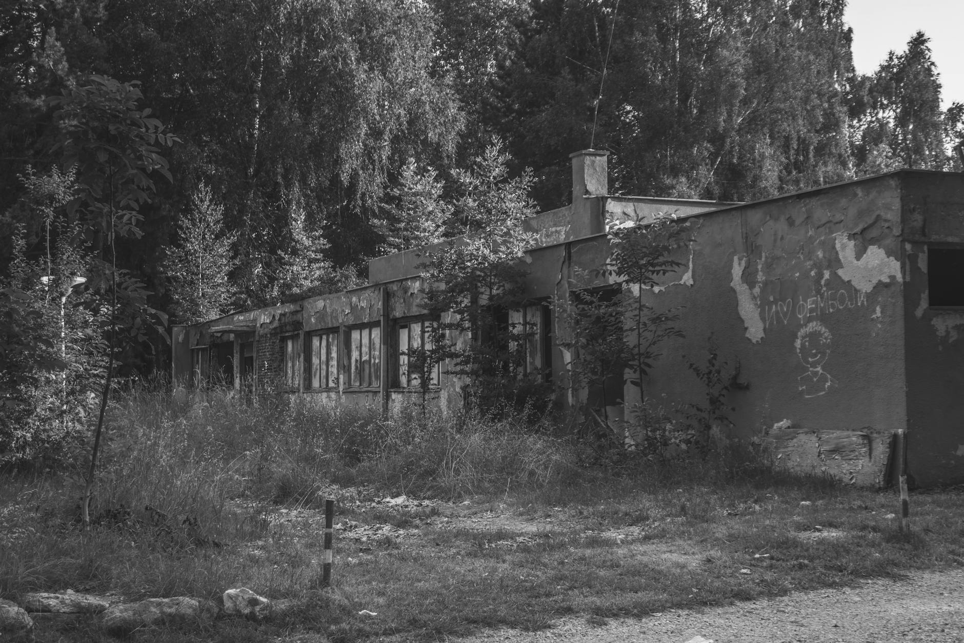 Zielone Świątki w Kole: Tradycja, świętowanie i atrakcje
